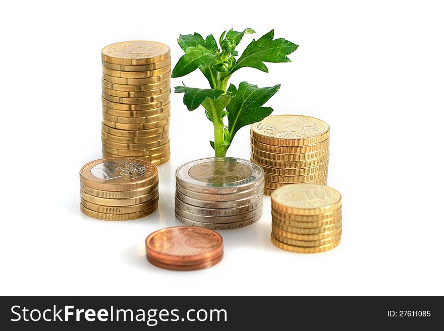 Plant and coins isolated over white background. Plant and coins isolated over white background.