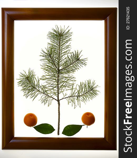 Christmas decoration two bright orange tangerines with a green leafs in a wooden frame. Frame brown, varnished. In the center of the space between the mandarins Christmas tree. Christmas decoration two bright orange tangerines with a green leafs in a wooden frame. Frame brown, varnished. In the center of the space between the mandarins Christmas tree.