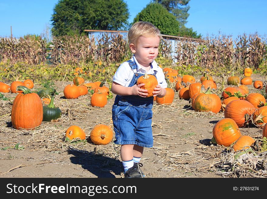 Cute toddler boy finding his first pumpkin while walking through a pumpkin patch. Cute toddler boy finding his first pumpkin while walking through a pumpkin patch.