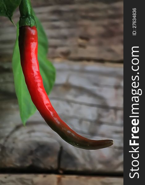 Photo of red chili pepper