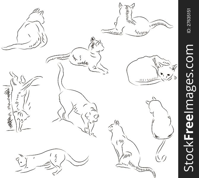 Vector illustration of cute white sketchy cats. Vector illustration of cute white sketchy cats