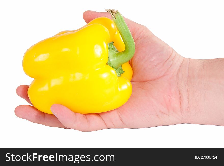 Pepper In A Hand
