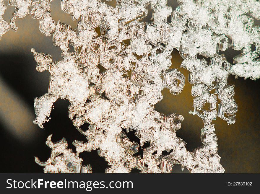 Winter ice crystals and flakes. Winter ice crystals and flakes