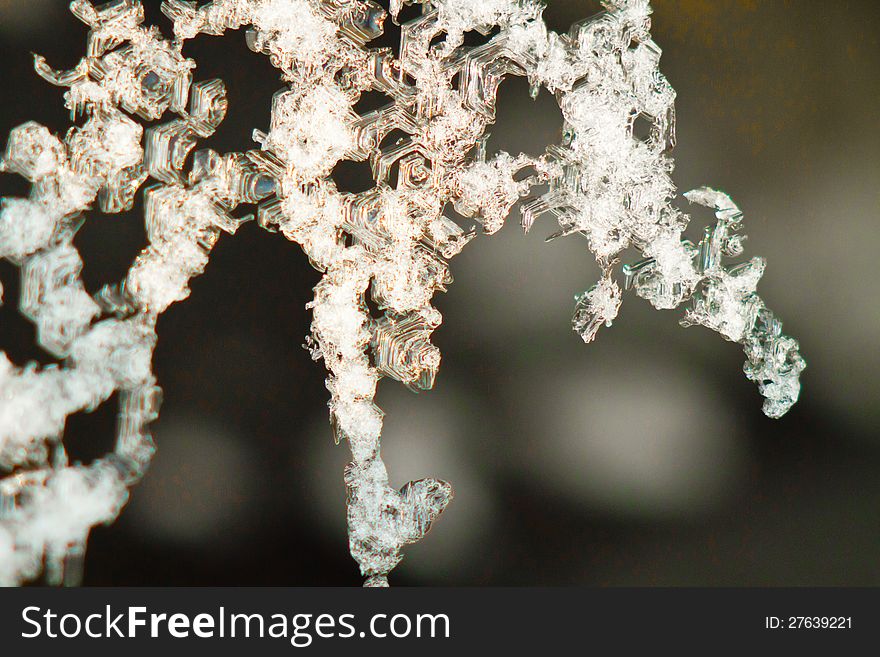 Winter  ice crystals and flakes. Winter  ice crystals and flakes