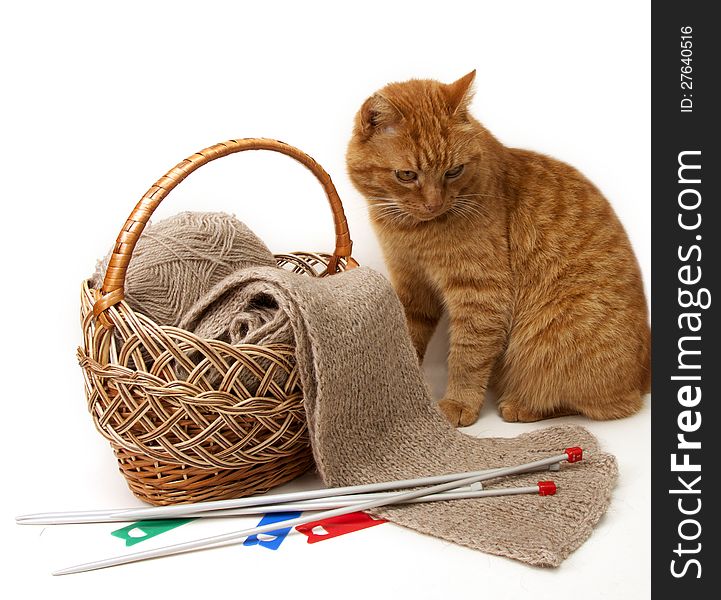 Ginger cat  sitting next to a basket. Ginger cat  sitting next to a basket.