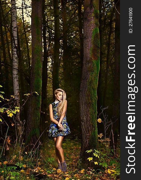 Fashion portrait of young beautiful woman posing in nature