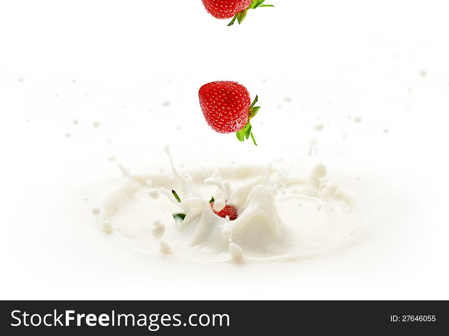 Strawberries falling into milk, splashing and covering the fruits. Strawberries falling into milk, splashing and covering the fruits
