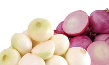 Onion. Stock Photo Onion. Stock Photo
