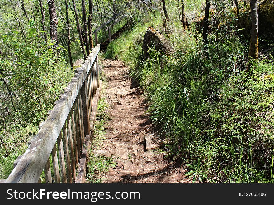 The rocky walkway in the Beedelup national park Karri forest in south Western Australia leads to the floating bridge over the Beedelup Falls and winds down the steep mountain side with handrail for protection of walkers. The rocky walkway in the Beedelup national park Karri forest in south Western Australia leads to the floating bridge over the Beedelup Falls and winds down the steep mountain side with handrail for protection of walkers.