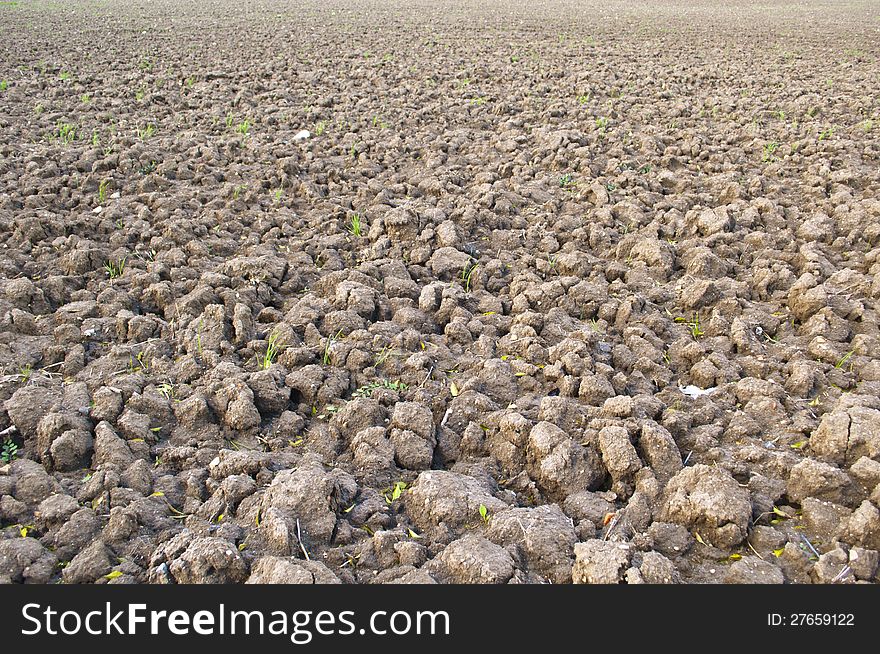 Image of brown soil of cultivated field