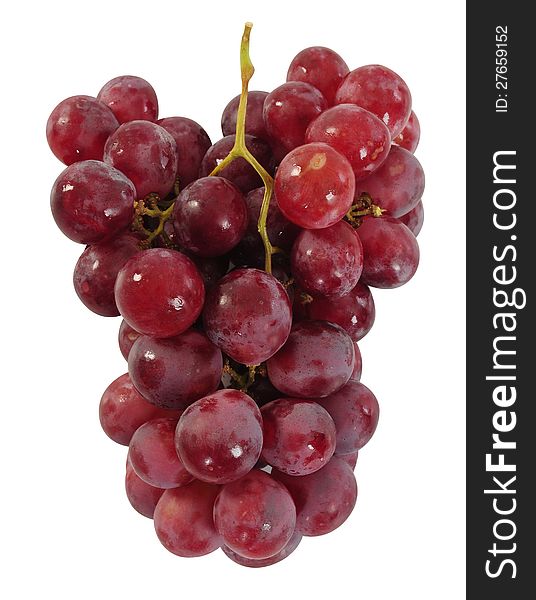 Red grapes against white background. Red grapes against white background.