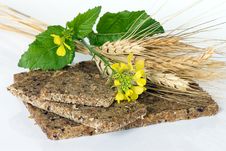 Whole Wheat Bread With Ears Of Wheat And Flower Royalty Free Stock Photography Whole Wheat Bread With Ears Of Wheat And Flower Royalty Free Stock Photography