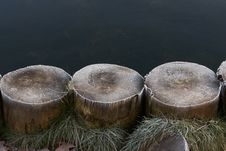 Frost On Piles Near Lake Royalty Free Stock Photos Frost On Piles Near Lake Royalty Free Stock Photos
