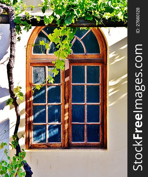 Wooden frame bay window with new wild wine leafs