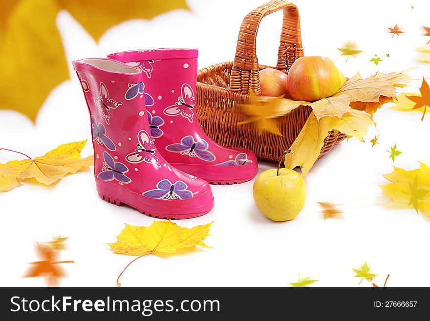 Rain boots, basket with apples and falling leaves, autumn concept