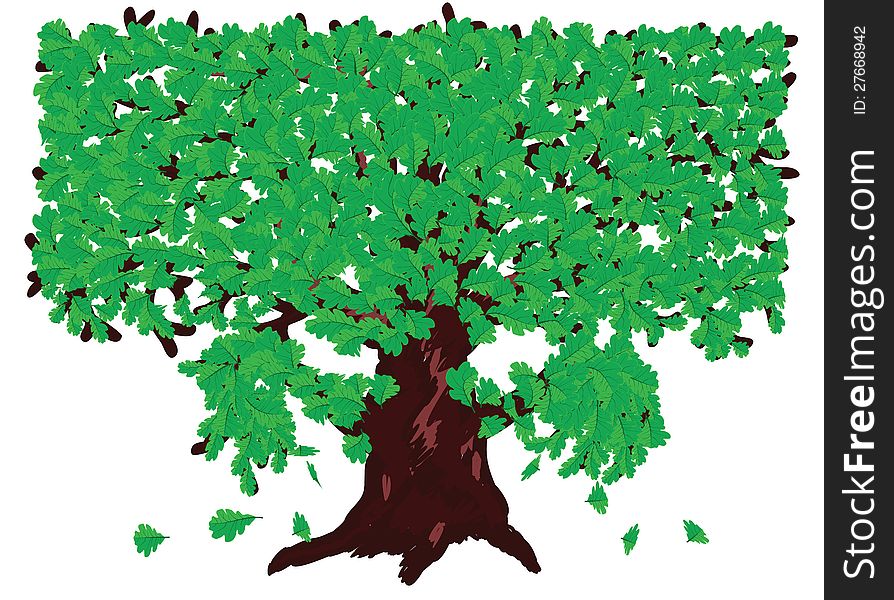 Illustration of big oak tree with fresh green leaves. Illustration of big oak tree with fresh green leaves.