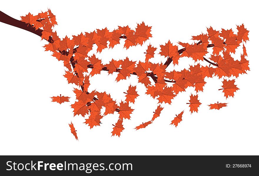 Red Maple Leaves