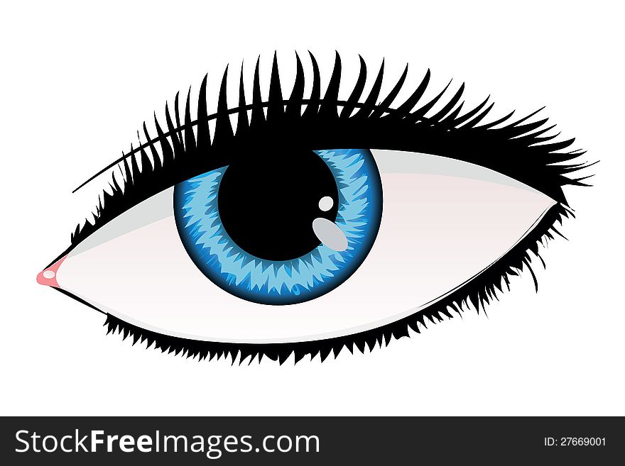 Illustration of woman's eyes of blue color on white background. Illustration of woman's eyes of blue color on white background.