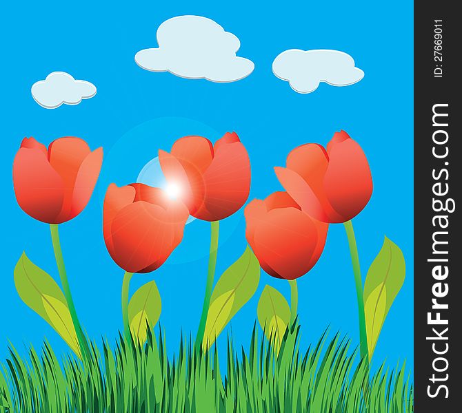 Illustration of tulip field and blue sky.
