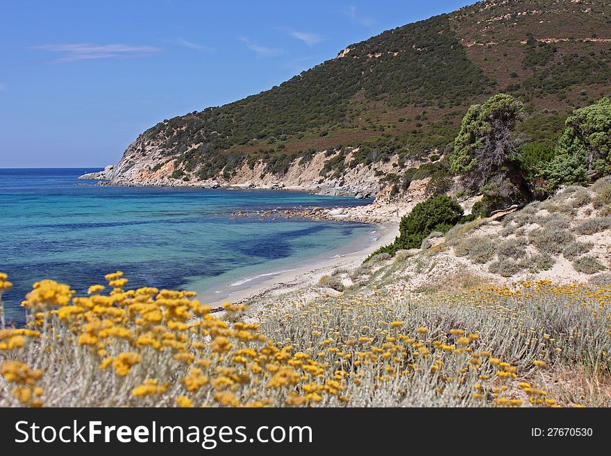 A beautiful beach with mediterranean scrubs. A beautiful beach with mediterranean scrubs