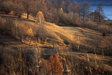 Hills In Fall Season Stock Photo