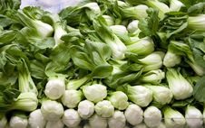 Bok Choy, Chinese Vegetable Royalty Free Stock Photos