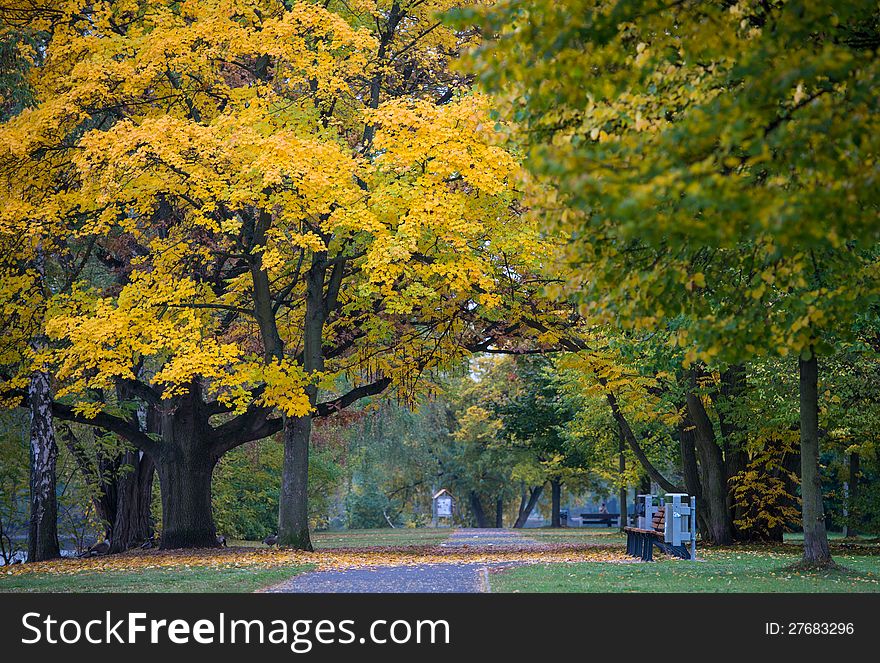 Walk in the park