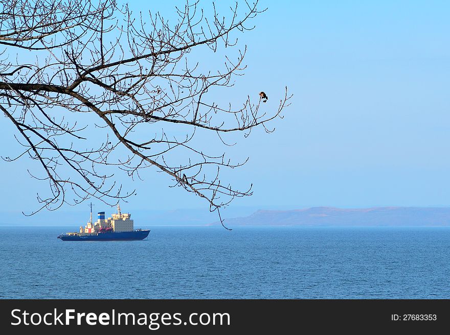 The tree branch with the icebreaker on the background. The tree branch with the icebreaker on the background