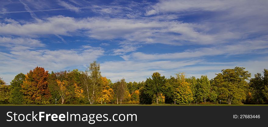 A parkland view in fall