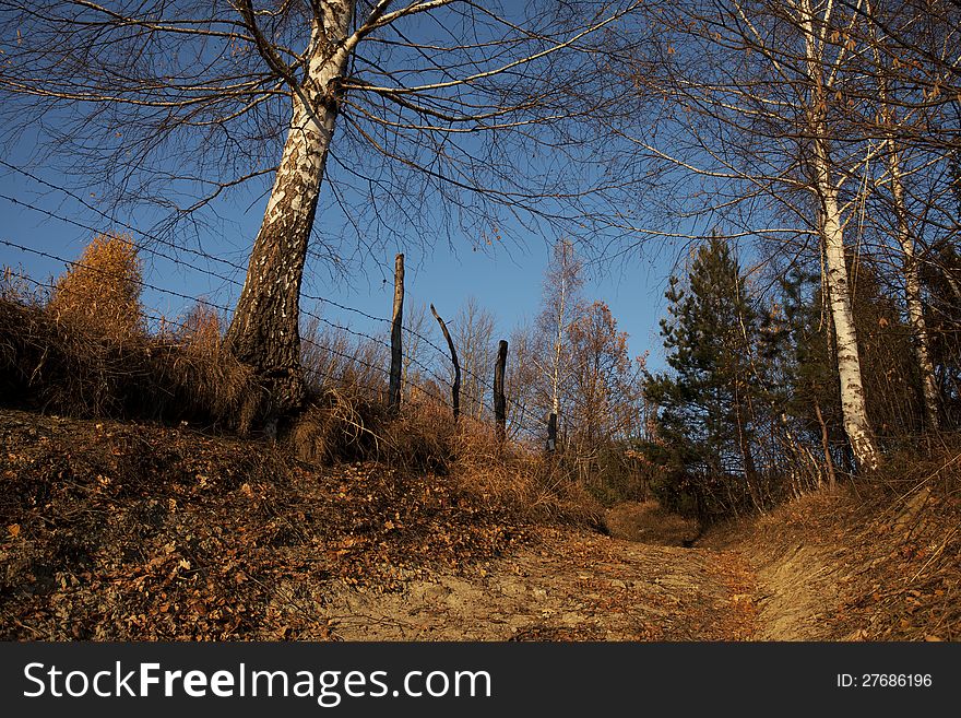 Infrastructure and trees in autumn season. Infrastructure and trees in autumn season