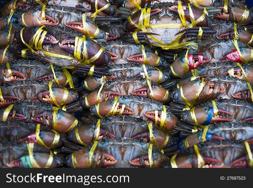 A lot of black crab / sea crab