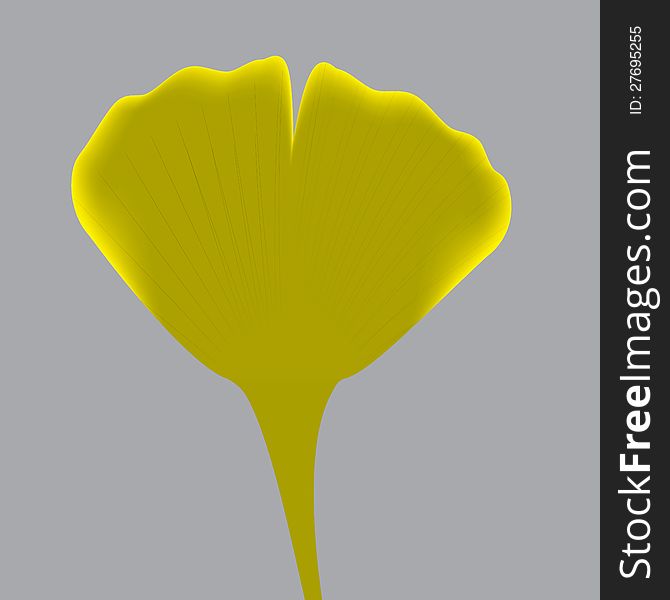 Leave of ginkgo biloba. vector.