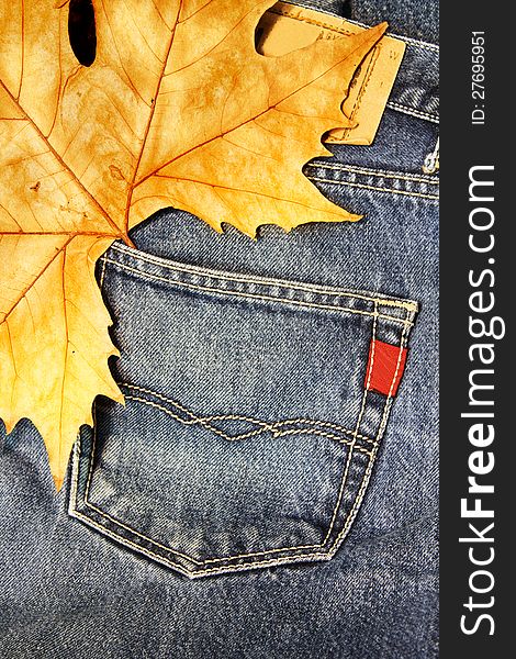 Blue Jeans and autumn leaf