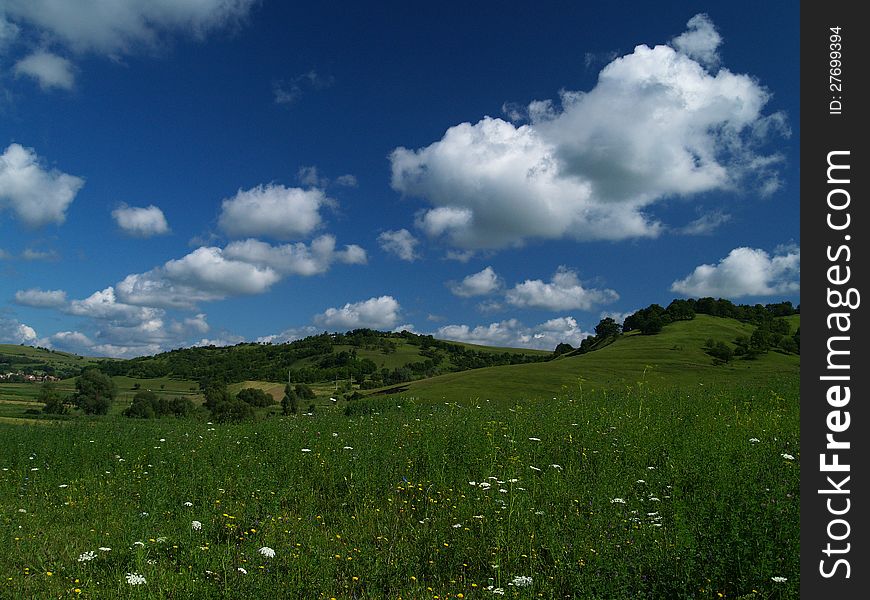 Suny day on a grassland near Dealu Frumos. Suny day on a grassland near Dealu Frumos.