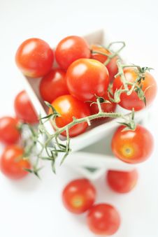 Fresh Tomatoes In Square Bowl Royalty Free Stock Photos Fresh Tomatoes In Square Bowl Royalty Free Stock Photos