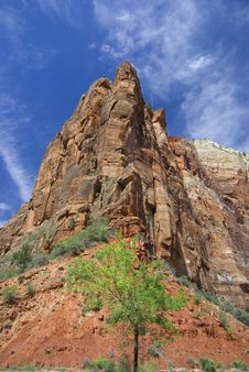 Zion Mountain Stock Images
