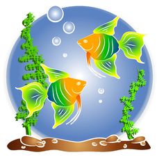 Tropical Fish Aquarium Clipart Royalty Free Stock Photos Tropical Fish Aquarium Clipart Royalty Free Stock Photos
