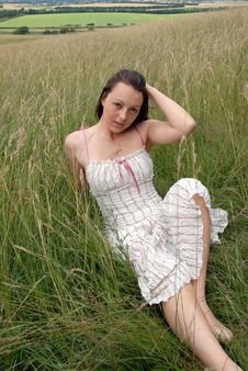 In The Grass Stock Photos In The Grass Stock Photos