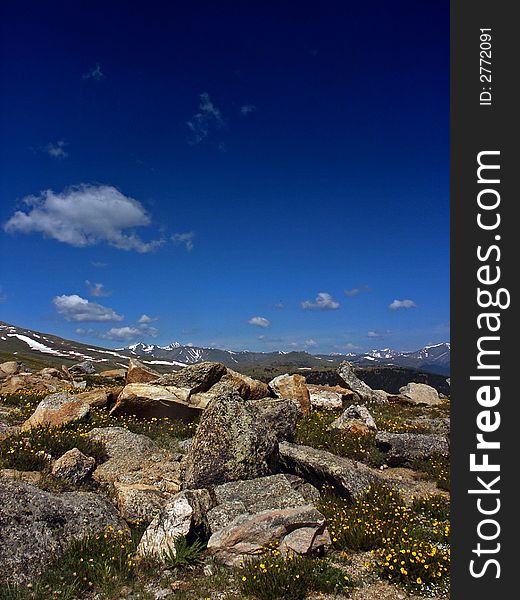 Mount Evans Wilderness in Colorado with wildflowers, mountain peaks, rocks, blue sky, clouds and Alpine Tundra. Mount Evans Wilderness in Colorado with wildflowers, mountain peaks, rocks, blue sky, clouds and Alpine Tundra