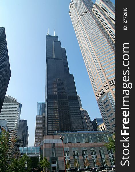 Sky line shot,chicago,sky scraper,building,
sears tower. Sky line shot,chicago,sky scraper,building,
sears tower