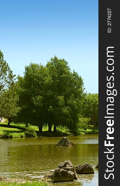 Green trees and and pond detail in summer sky. Green trees and and pond detail in summer sky