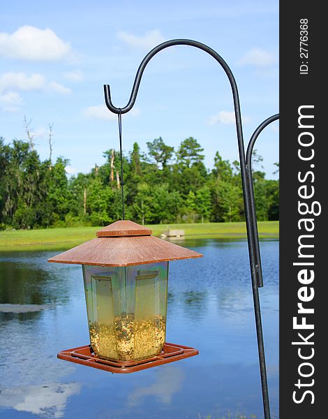 Hanging bird table  by the water