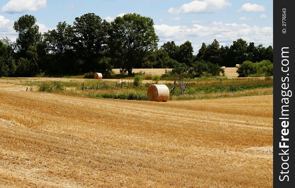 A photo of a wheat field being harvested in the summer. A photo of a wheat field being harvested in the summer.