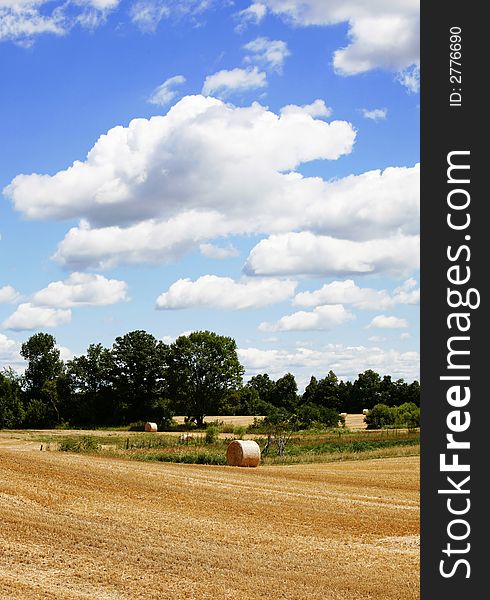 A vertical shot of a field with round bales during straw harvest with beautiful sky.