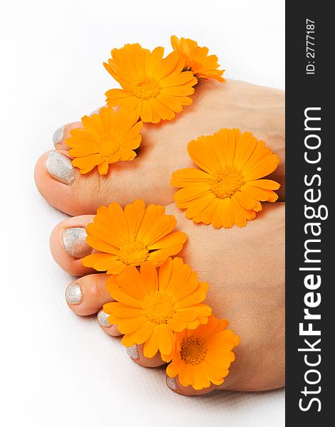Woman Feet And Flower