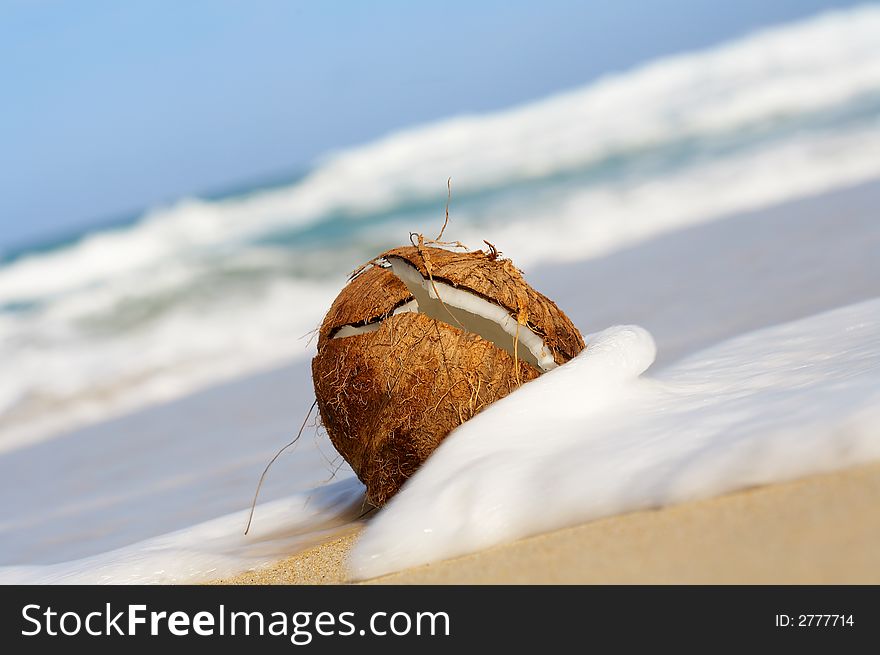 View of nice cracked coconut getting captured with sea-foam