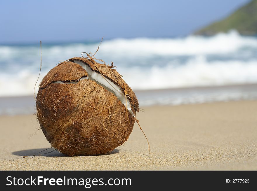 View of lonely cracked coconut on sandy beach