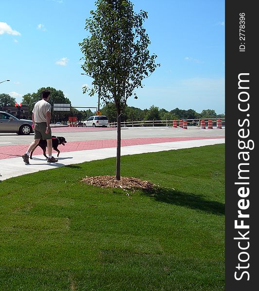 Maneuvering Roundabout Traffic