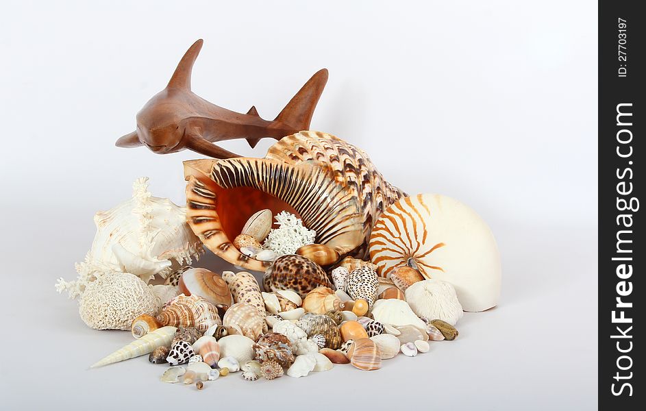 Wooden Carved Shark Hovering Over Seashells. Wooden Carved Shark Hovering Over Seashells
