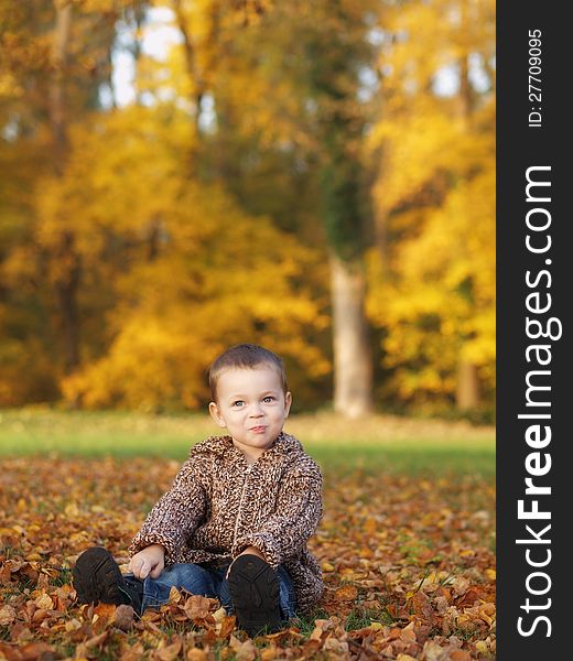Little boy playing in the park in autumn. Little boy playing in the park in autumn